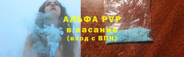 ГАЛЛЮЦИНОГЕННЫЕ ГРИБЫ Аркадак