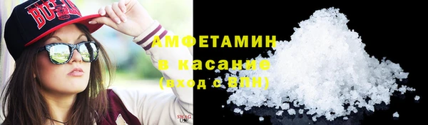 ГАЛЛЮЦИНОГЕННЫЕ ГРИБЫ Аркадак