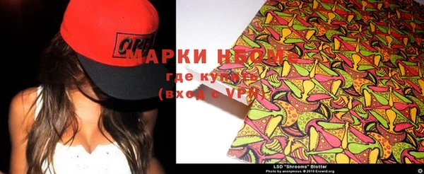 ГАЛЛЮЦИНОГЕННЫЕ ГРИБЫ Аркадак