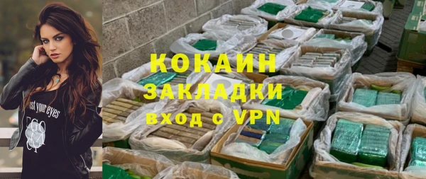 ГАЛЛЮЦИНОГЕННЫЕ ГРИБЫ Аркадак